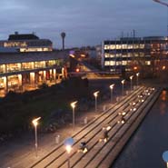 UCD